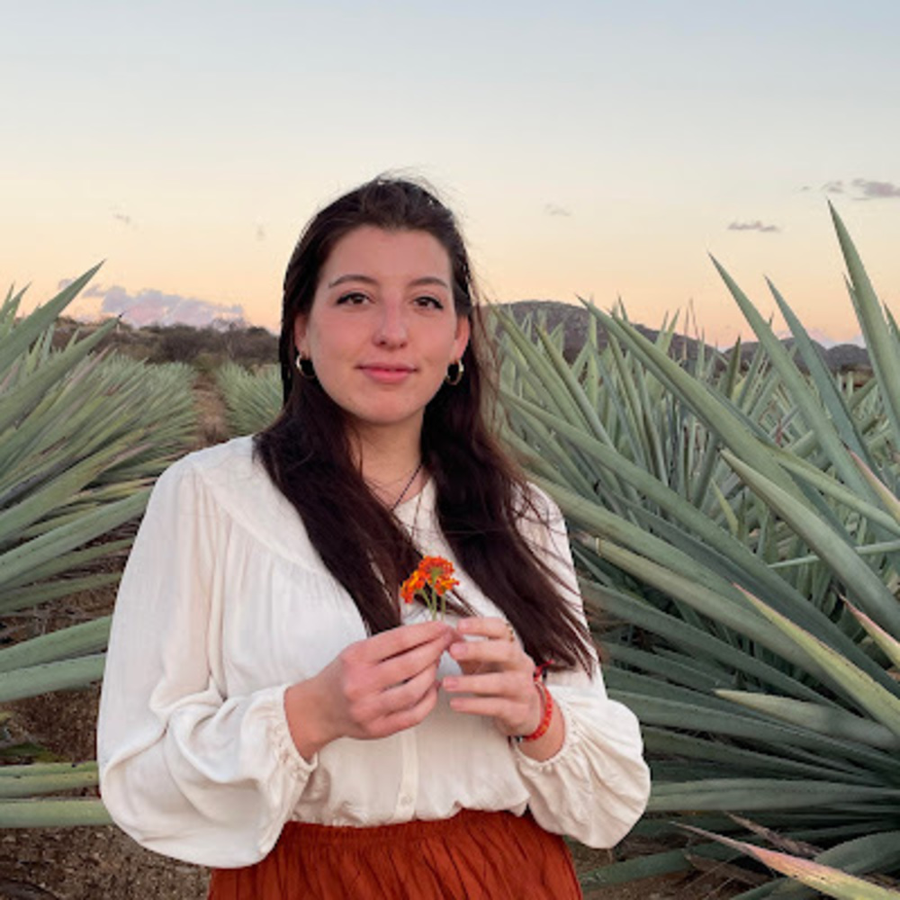 Meet your Posher, Rose